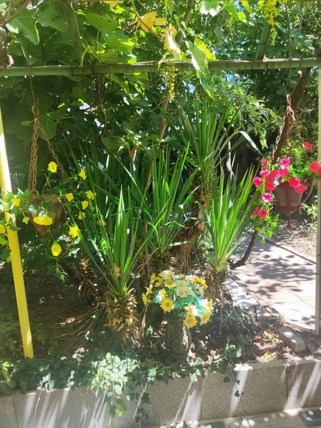 Jacky'S House Ξενοδοχείο Τσερνομόρετς Εξωτερικό φωτογραφία